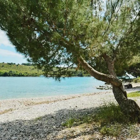 In Near Gortan Cove * Pula